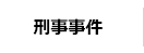 刑事事件